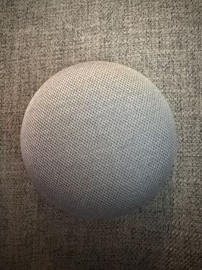 Google nest device